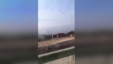 Gürsu'da yangının izleri siliniyor! Yanan ağaçlar oduna dönüştü...