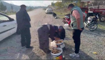 Bursa'da dağ tepe topluyor, okul harçlığını çıkarıyor