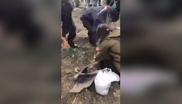 Bursa'da fidan seferberliği!