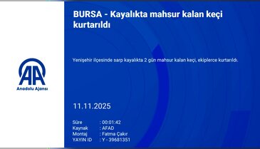 Bursa'da kayalıkta mahsur kalan keçi kurtarıldı