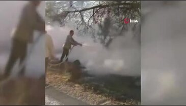 Orman yangınında alevlere sütle müdahale etti
