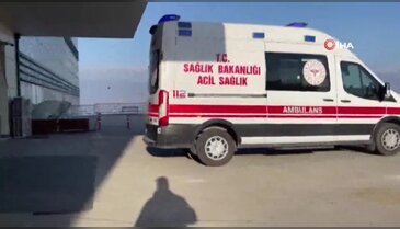 Sokak köpekleri küçük kıza dehşeti yaşattı