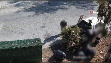 Çevreyi kirletirken kameraya yakalandılar!