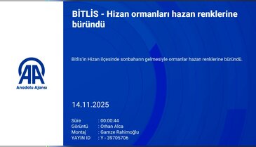 Sonbahar, ormanları hazan renklerine bürüdü