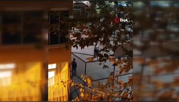 Basketbol sahasında yumruklar konuştu! Arkadaşları da tezahürat etti...