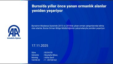 Bursa yeniden yeşiline kavuşuyor
