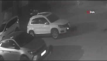 Sokak köpekleri park halindeki aracı parçaladı