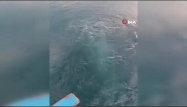 Deprem uzmanı Marmara'yı işaret etmişti! Göl kaynıyor...