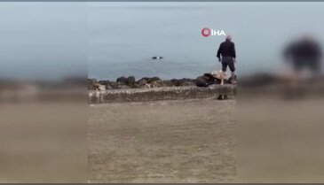 Bursa'da vatandaşları hayran bırakan anlar! Hiç tereddüt etmeden suya atladı