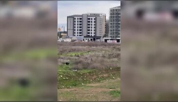 Bursa'da uyuşturucu kabusu! Okulun hemen yanındaki tehlike büyüyor...