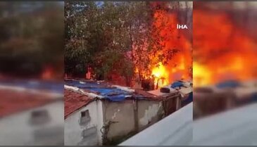 Bursa'da korkutan yangın! Ağaçlara sıçradı...
