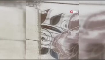 Fırın değil böcek teraryumu! Mideniz kaldıramayabilir...