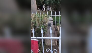 Bursa'nın ortasındaki bu mezarı gören dönüp bir daha bakıyor! İşte şaşırtan hikayesi...