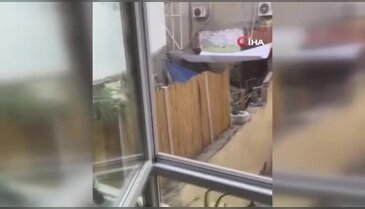 Eskişehir'de köpeğe eziyet eden şahıs yakalandı