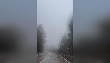 Bursa'nın yüksek kesimlerinde sis etkili oldu!