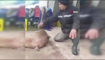 Bursa'da gölden dev çıktı! 4 kişi zor taşıdı, gören hayrete düştü