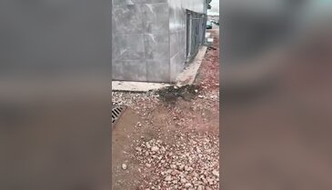 Bursa'da altyapı çalışmaları tamamlandı! Mahalle sakinlerinden asfalt talebi...