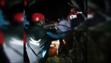 Bursa'da ormanlık alanda mahsur kaldı! Ortak çalışmayla kurtarıldı...