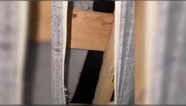 İçerisinden ses gelen koltuğun bezini kesince dondu kaldı!