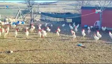 Bursa'dan aldı! Üretim kapasitesi dikkat çekiyor...