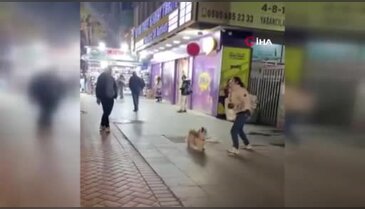 Vatandaşlarla balon sektiren köpek kamerada
