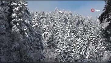 Bursa'nın çatısı Uludağ'da göz gözü görmüyor