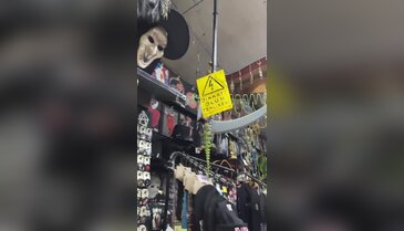 Bursa'nın 37 yıllık tüyler ürperten dükkanı! Eskiler çok iyi biliyor...
