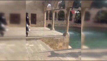 "İşten atıldım" diyerek Balıklıgöl'e atladı