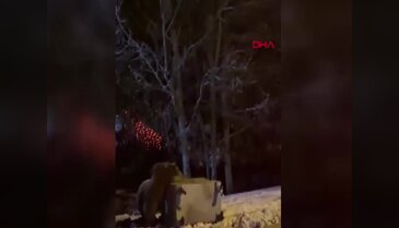Bursa'da vatandaştan uyarı geldi! "Rahatsız etmeyin"