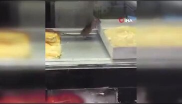 Börekçide skandal görüntü! Fare, tezgahta cirit attı