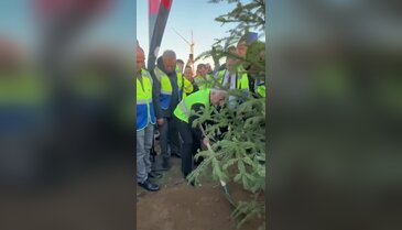 Bursa'da 15 bin 28 fidan toprakla buluştu!