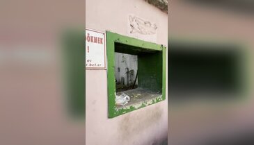 Bursa'nın göbeğinde saygısızlık! Türbenin içi çöplerle doldu...