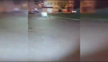 Açlık şehre indirdi: Çakal sokaklarda görüntülendi!