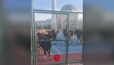 Bursa'da site sakinleri isyan etti! "Mezarlığa giriyor"