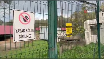 Bursa'da bulundu, bölgeye girişler yasaklandı! Kimse yaklaşamıyor...