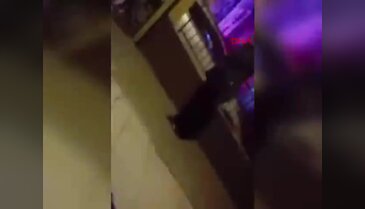 Ziyaret cinayetle bitti! Tartıştığı babaannesini vahşice katletti...