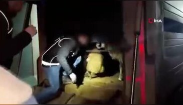 Karın boşluklarının içine gizlenmiş halde bulundu!