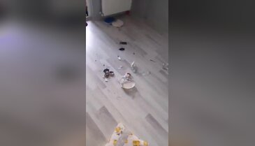 Bursa'da kiracı kabusu! Kapı açılınca ortaya çıkan manzara şoke etti...