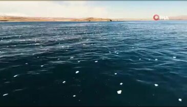 Göl yüzeyinde ilginç görüntü şaşırttı!
