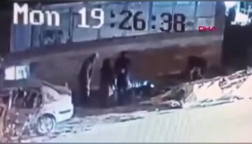 Bursa'da sokak köpeği dehşeti: 3 kişi yaralandı...