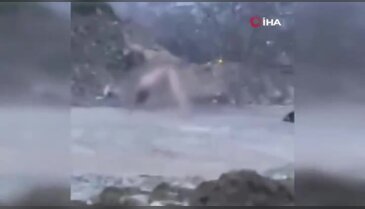Köprü altında akılalmaz olay! Çıplak halde...