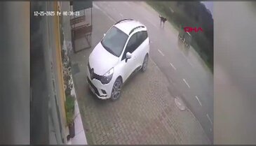 Bursa'da motokurye sokak köpeğinden kaçarken kaza yaptı