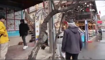 9 dil biliyor, gören şaşırıyor