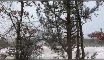 Bursa'da bir gecede mevsim değişti! Sabaha bembeyaz uyandılar