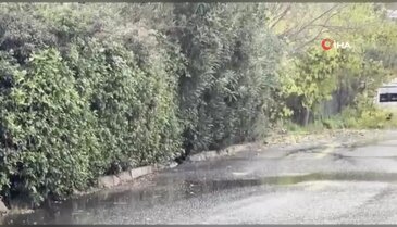 İstanbul'da kar yağışı başladı