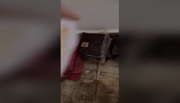 Kaçakçılara darbe üstüne darbe! On binlerce ele geçirildi...