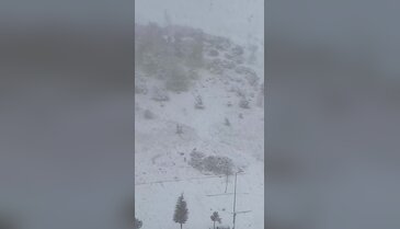 Bursa'da köpeklerin kar sevinci yürekleri ısıttı!