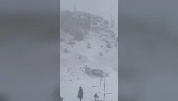 Bursa'da köpeklerin kar sevinci yürekleri ısıttı!
