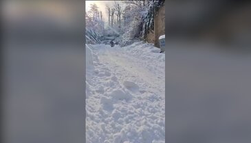 Uludağ'ın eteklerindeki o köy kayak pistine döndü! Yarışma düzenlediler...
