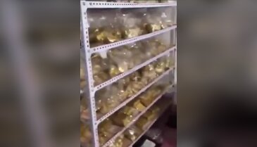 Yolsuzlukla suçlanan belediye başkanı için idam kararı! Evinden çıkanlar ekonomiyi sarsar...